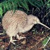 image002